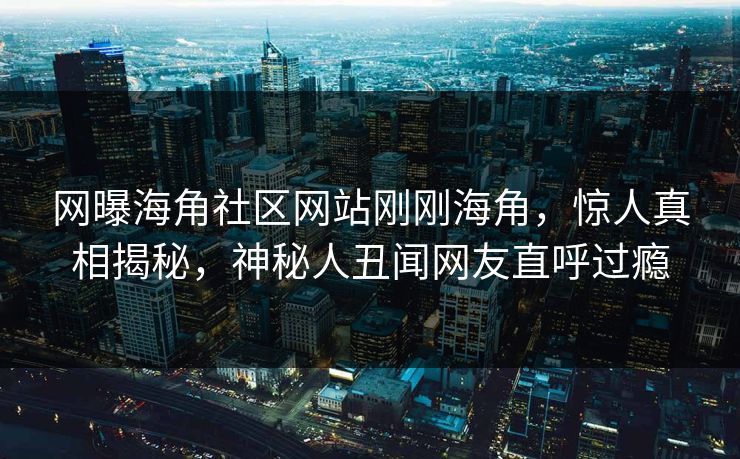 网曝海角社区网站刚刚海角，惊人真相揭秘，神秘人丑闻网友直呼过瘾
