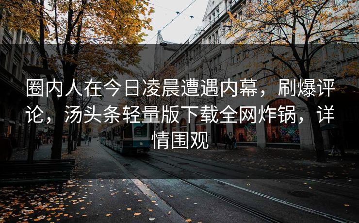 圈内人在今日凌晨遭遇内幕，刷爆评论，汤头条轻量版下载全网炸锅，详情围观