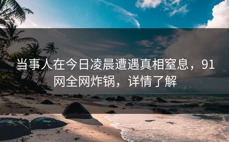 当事人在今日凌晨遭遇真相窒息，91网全网炸锅，详情了解