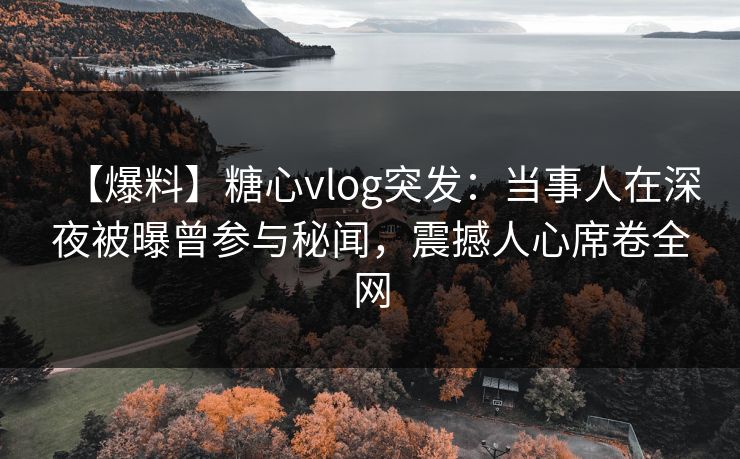 【爆料】糖心vlog突发：当事人在深夜被曝曾参与秘闻，震撼人心席卷全网